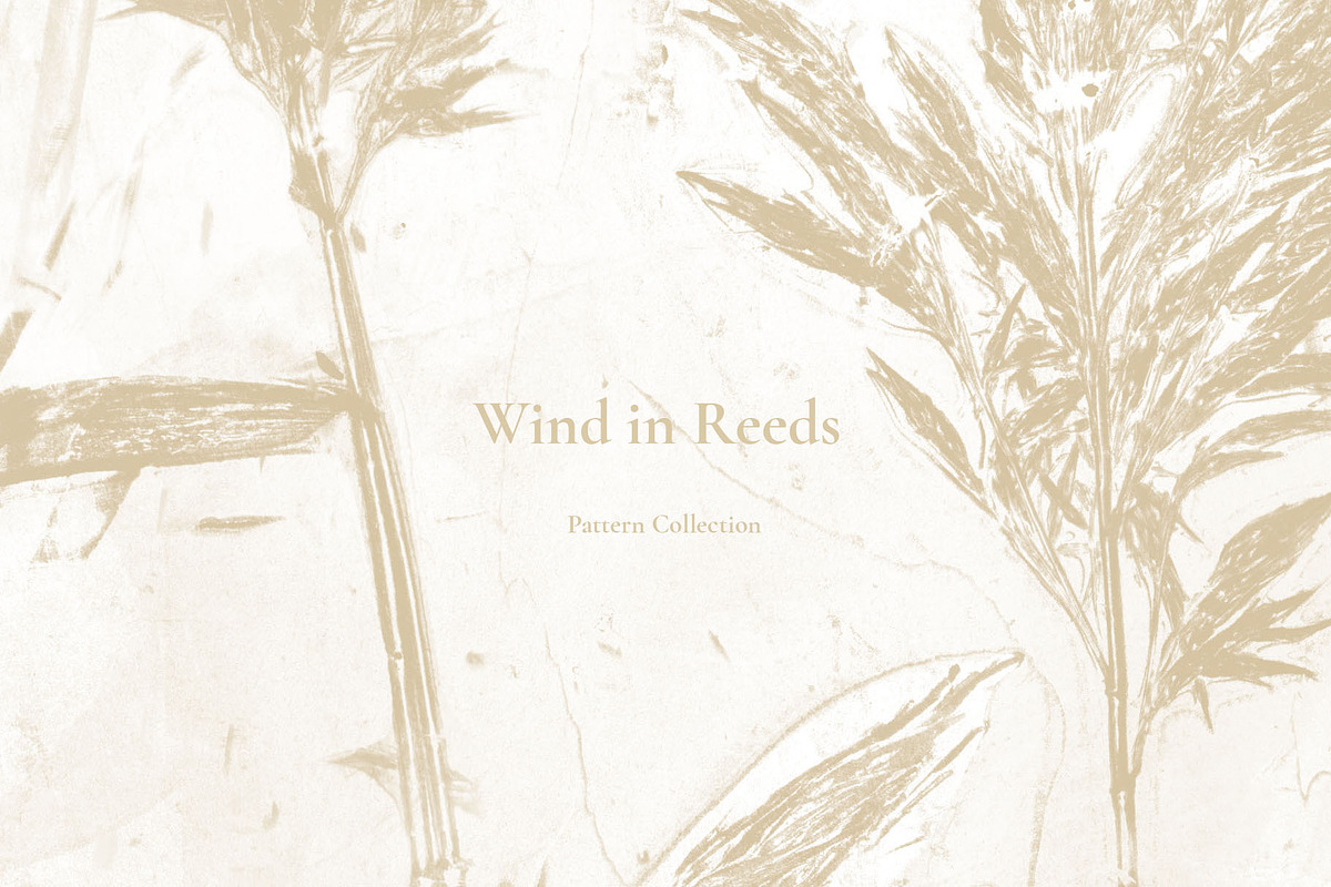 Wind in Reeds Pattern Collection, a Pattern Graphic by Note And Silence (Photo 1 of 5)