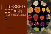 PRESSED BOTANY Floral & Fruit Cutout, an Object Graphic by Desert Poetic (Thumbnail 1 of 10)