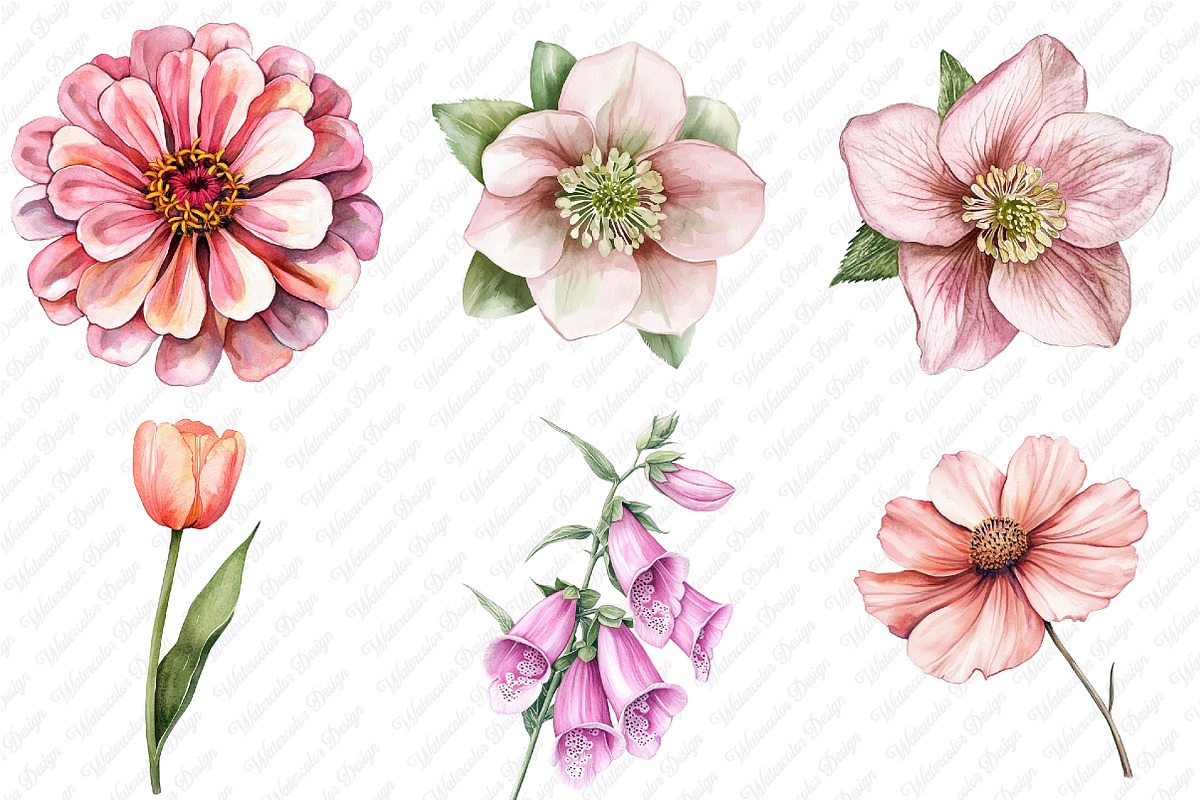 Watercolor Blush Wild Flowers, an Illustration by Watercolor design (Photo 3 of 12)