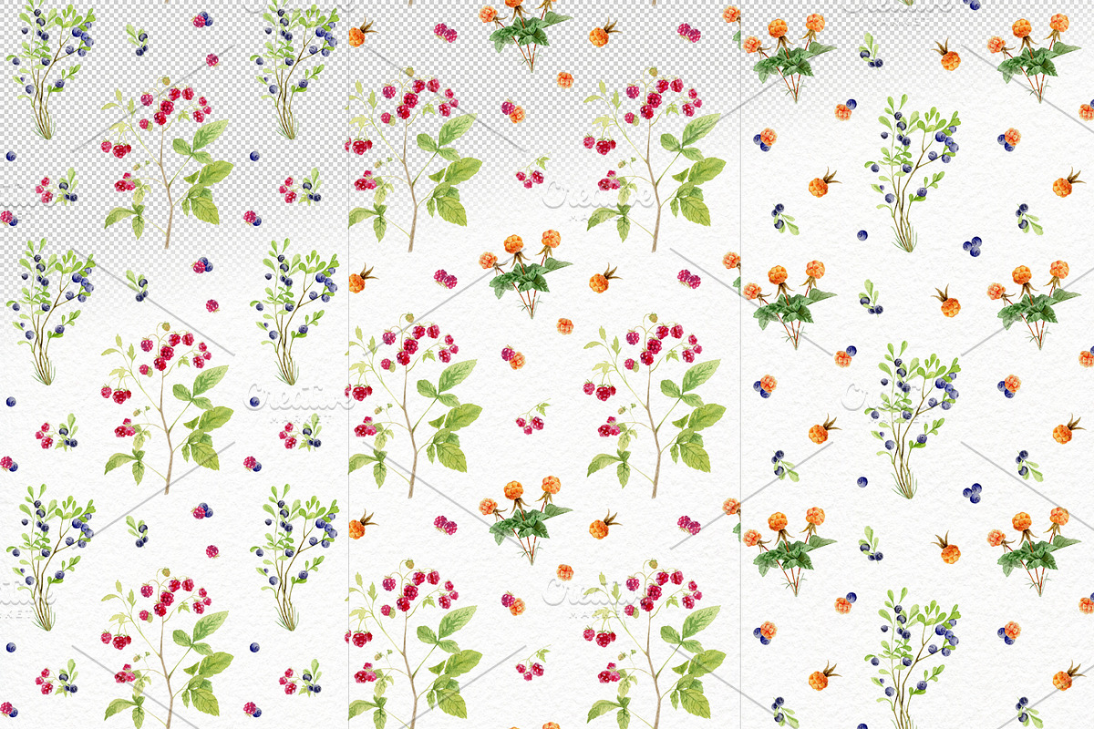 Forest watercolor designer toolkit, an Animal Illustration by Elegantia (Photo 27 of 28)