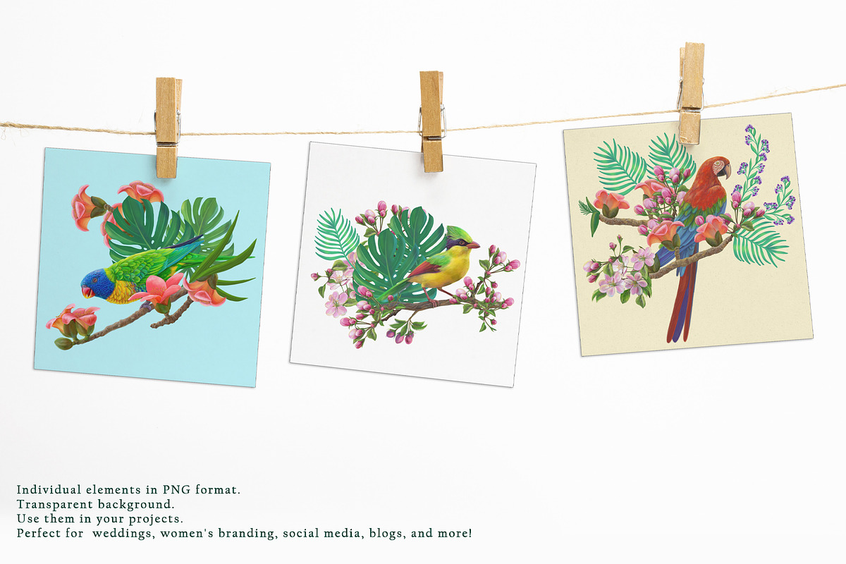 Exotic birds seamless pattern, a Pattern Graphic by Alena Lazareva (Photo 5 of 9)