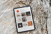 MULKY / Social Media Kit, a Social Media Template by Olg Store (Thumbnail 6 of 11)