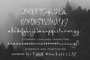 Echo Falls Modern Script, a Script Font by INKMETHIS (Thumbnail 2 of 6)