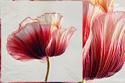 Delicate Silk Poppy Embroidery Art, a Decorative Illustration by yahu88studio (Thumbnail 2 of 7)