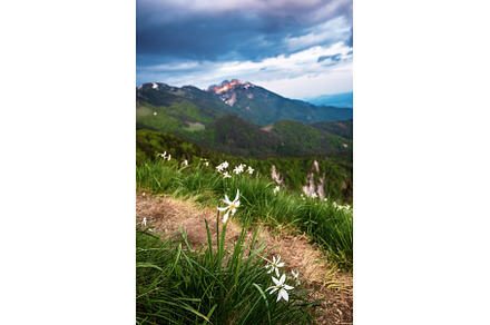 Beautiful mountain landscape with, a Nature Photo by Nature and travel