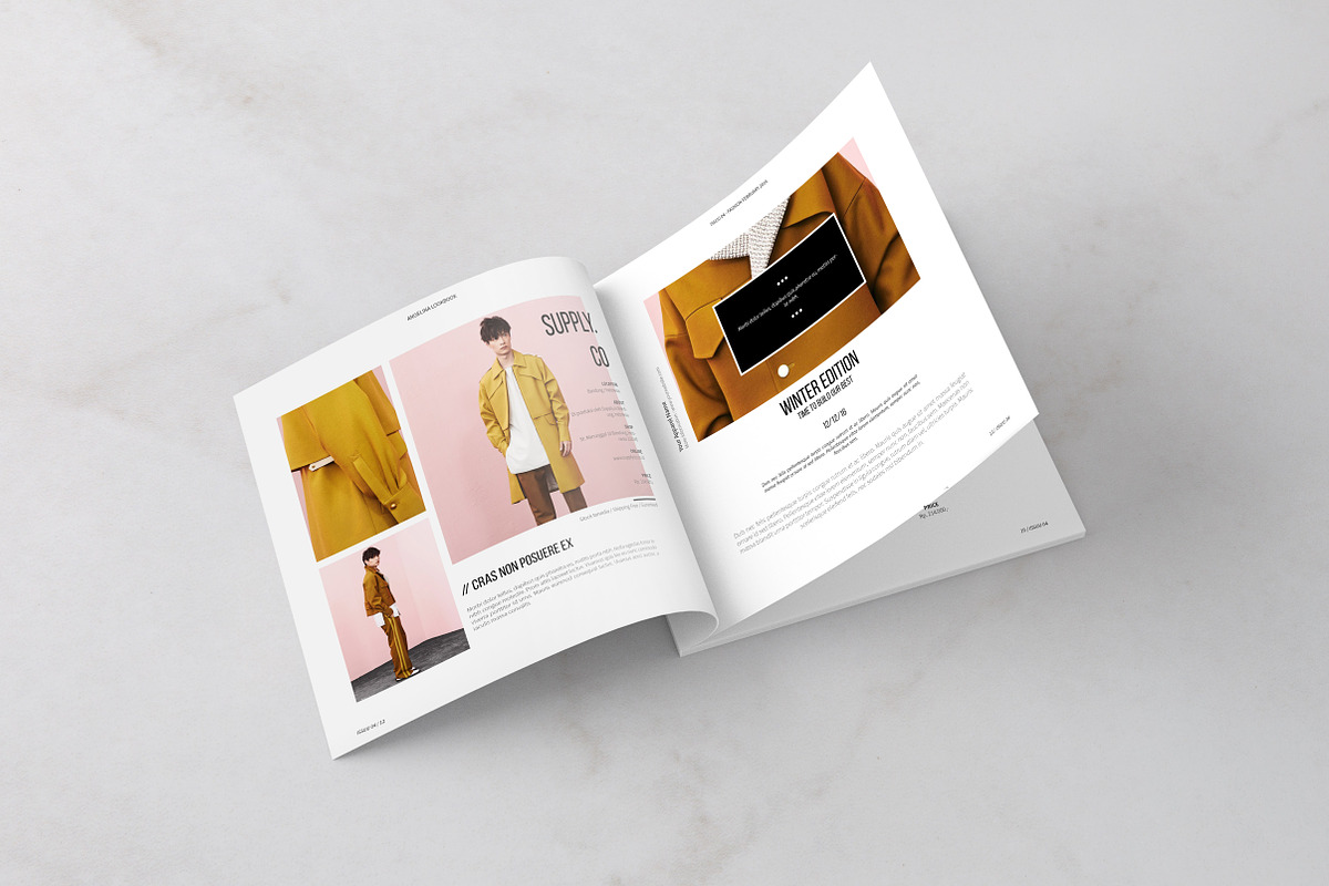 Angelina Lookbook, a Brochure Template by Loc Tropis (Photo 3 of 7)