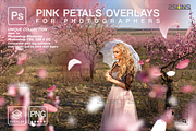 PINK Rose Petals photo overlays, an Object Graphic by 2SUNS (Thumbnail 1 of 9)