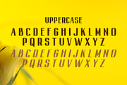 La Taverna, a Sans Serif Font by almazstudio (Thumbnail 5 of 7)