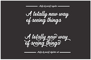 Anne de marie, a Script Font by Alandya TypeFoundry (Thumbnail 6 of 7)
