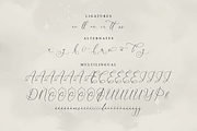 Dihatimu Adamelri Elegant Script, a Script Font by Storytype Studio (Thumbnail 13 of 14)