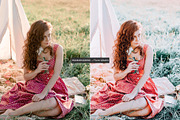 HummingBird Lightroom Presets Pack, an Action Add-On by PixelHive Pro (Thumbnail 2 of 9)