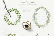Leafy Leaf Collection, an Animal Illustration by Julia Dreams (Thumbnail 5 of 7)