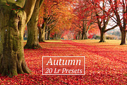1001 Lightroom Collection, an Action Add-On by ArtPlanet (Thumbnail 13 of 31)