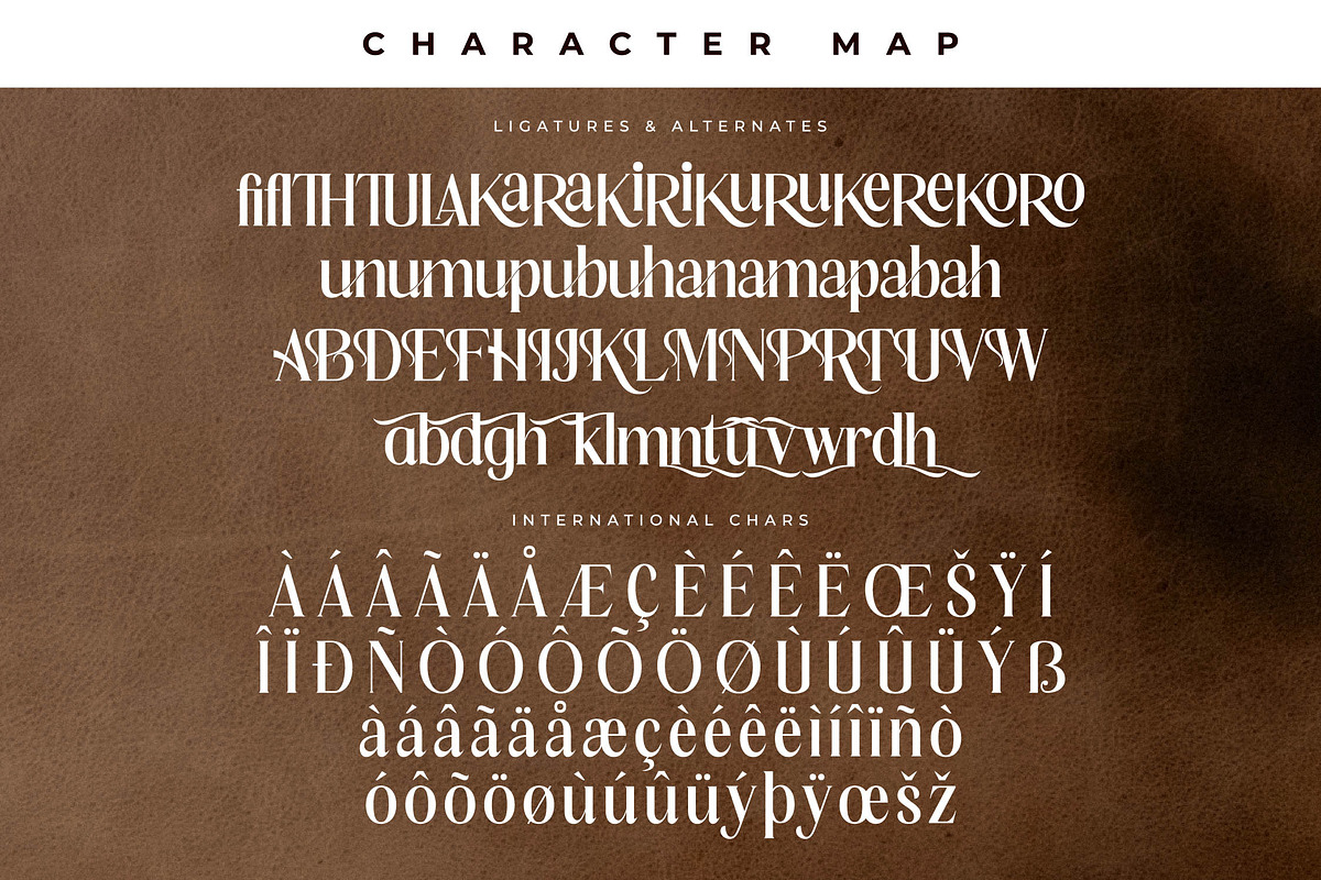 Malenthos Modern Font Duo, a Serif Font by Storytype Studio (Photo 12 of 15)