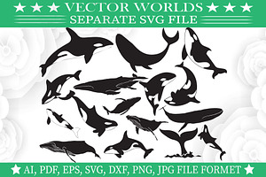 Blue Whale SVG, Shark, Whale SVG, an Object Graphic by VectorWorlds