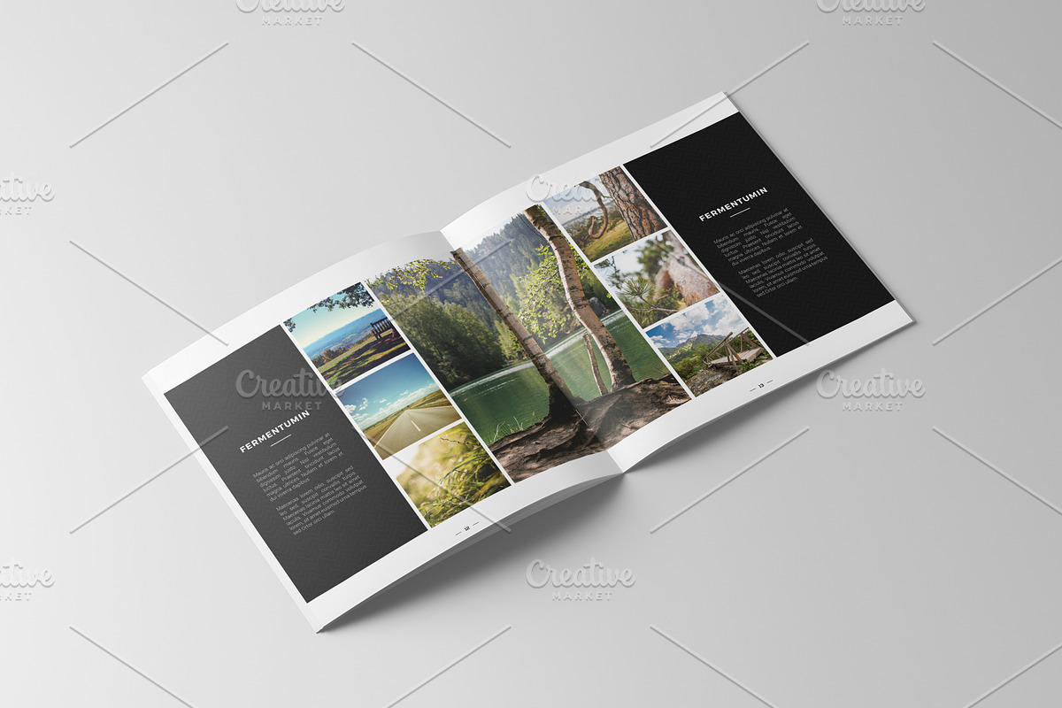 Square Portfolio Brochure, a Brochure Template by ShapShapy (Photo 7 of 11)