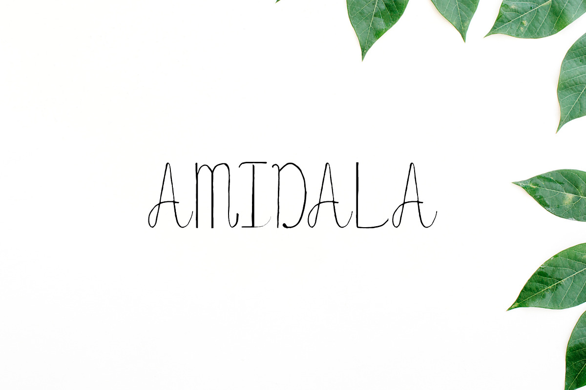 Amidala Script Font
