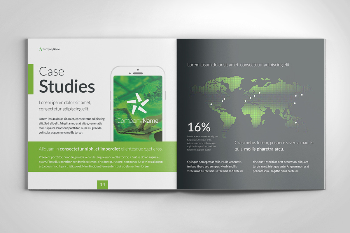 Software and Solutions Brochure, a Brochure Template by buttonpl (Photo 6 of 7)