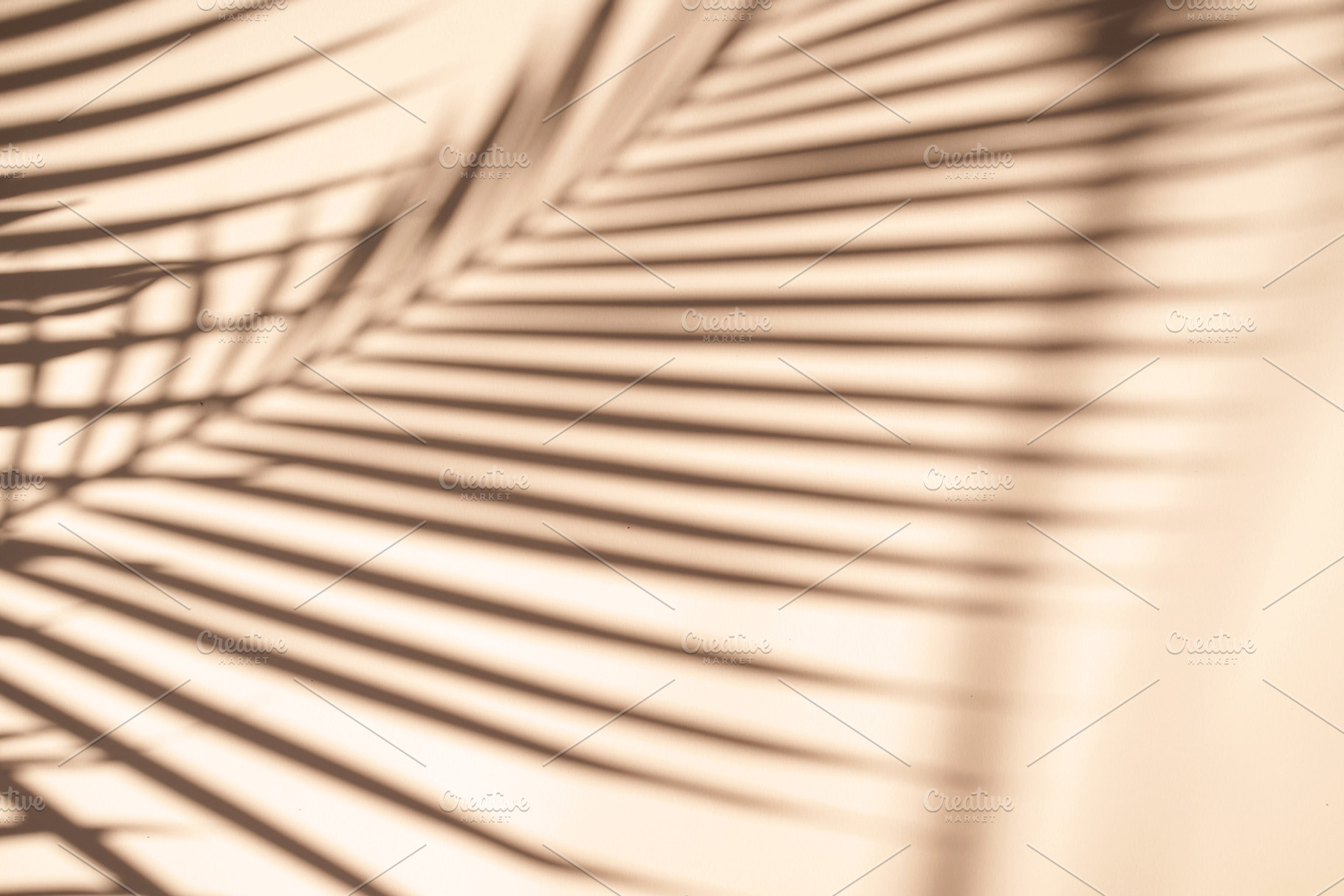 Tropical palm leaves natural shadow featuring shape, color, and pattern, an Abstract Photo by Nuchylee Photo