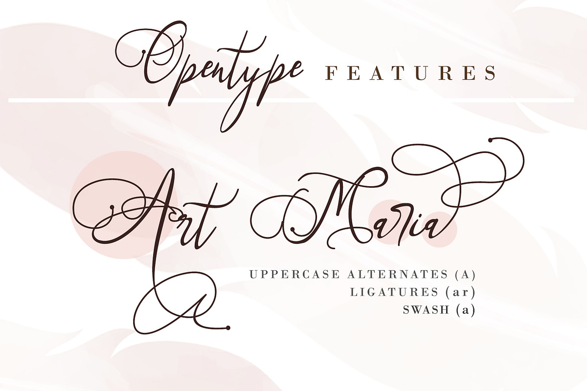 Art Maria, a Script Font by Letterara (Photo 4 of 12)