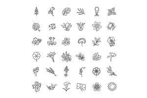 Flowers and herbs icons, an Object Illustration by Tettygreen