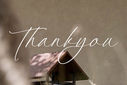 Platimye Stylish Signature Font, a Script Font by Letterena Studios Script (Thumbnail 15 of 15)