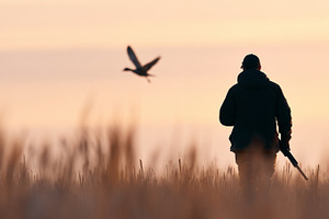 Silhouette of a hunter holding, a Sports & Recreation Photo by MistyDay
