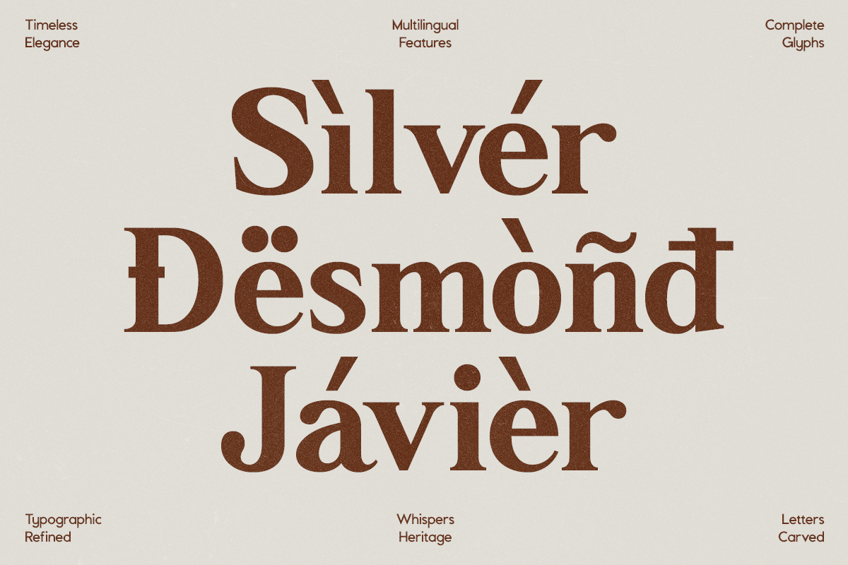 GC Neue Benfica – Classic Serif, a Sans Serif Font by Glyphonic (Photo 15 of 15)