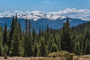 Spring Carpathian mountains view, Ukraine., a Nature Photo by YuriyB