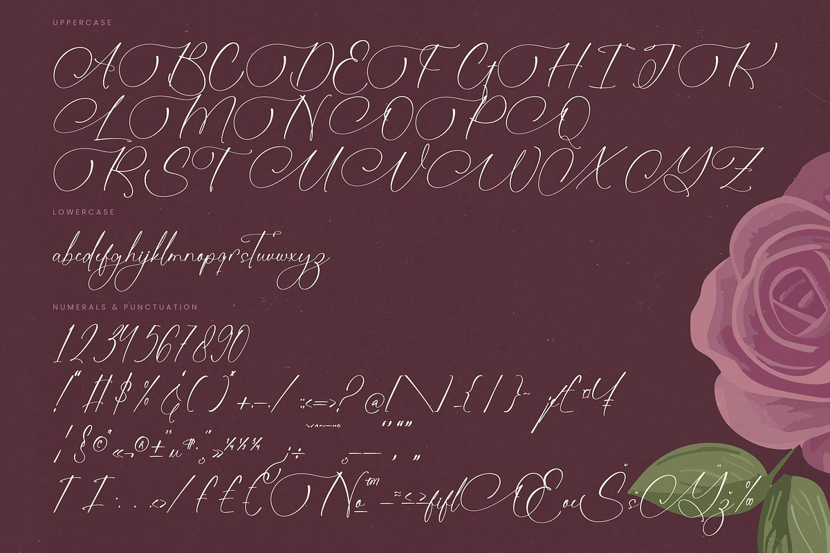 Michelin Samantha Stylish Font, a Script Font by stylishtype.co (Photo 19 of 20)