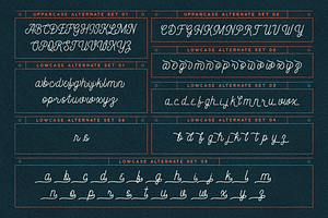 Constaline - Monoline Script & Sans