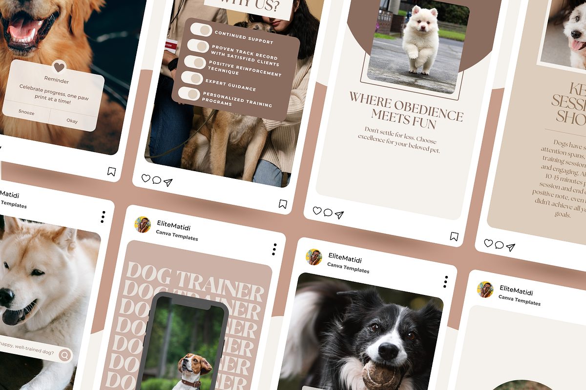 Dog Training Instagram Templates, a Social Media Template by EliteMatidi (Photo 7 of 8)