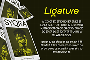 Groonex, a Sans Serif Font by Burntilldead (Thumbnail 6 of 10)