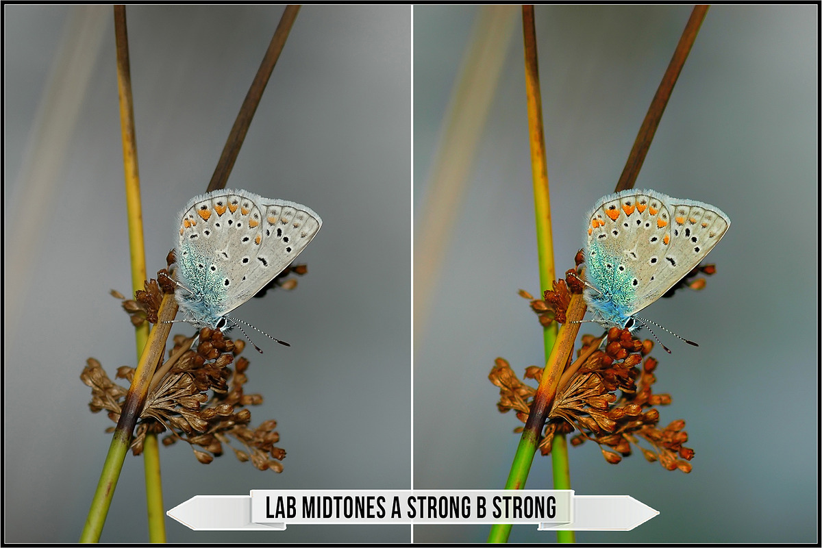 LAB Color Vol. 3 - Lab Variations, a Plug-in Add-On by Raztrend (Photo 17 of 30)