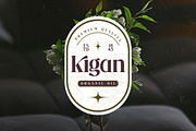 Mistical Spring - Modern Serif, a Serif Font by timelesstype.co (Thumbnail 17 of 20)