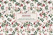 Rosehip Elegant Romantic Pattern, a Pattern Graphic by Mariia Kovalchuk (Thumbnail 2 of 13)