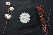 Minimalistic Circle Logo, a Branding & Logo Template by Michael Rayback Design (Thumbnail 4 of 5)