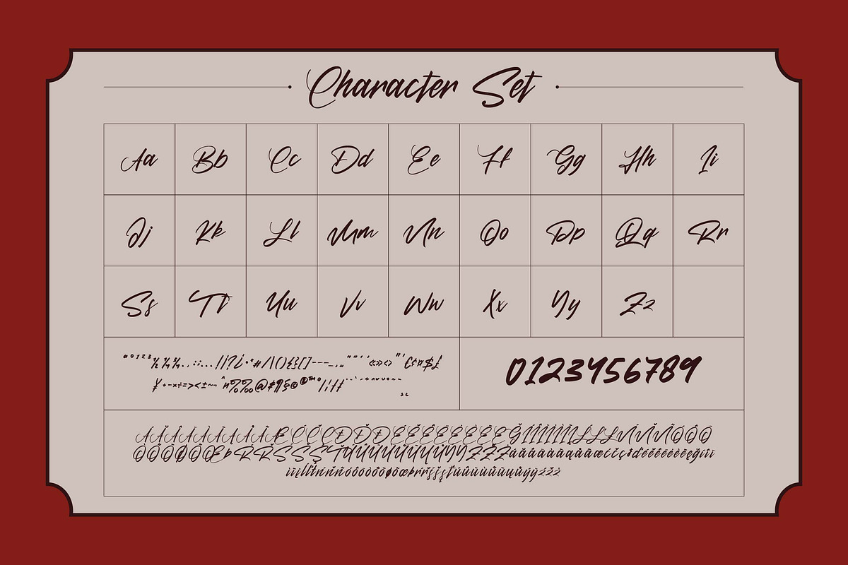 Swashiqa, a Script Font by graphicook (Photo 3 of 10)