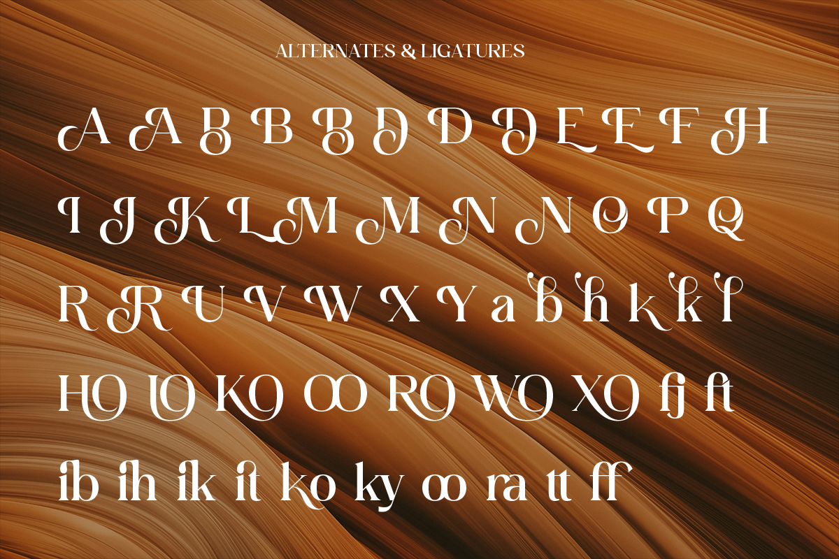Rintik - Modern Elegant Serif, a Serif Font by Shakira Studio (Photo 8 of 10)