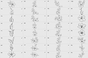 Procreate flower stamp, garden, a Brush Add-On by AnnaPolitmerskaja (Thumbnail 4 of 4)