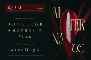 Aqualim Signature - Duo Font