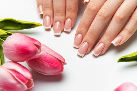 Woman showing french manicure near pink tulips on white backgrou