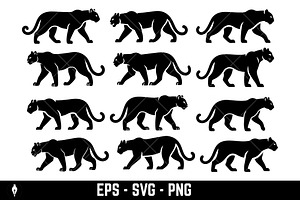 Panther cougar or mountain lion, an Animal Illustration by Vectorhight