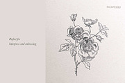 Antique Roses - Illustration Set, a Decorative Illustration by Encre Studio (Thumbnail 4 of 5)
