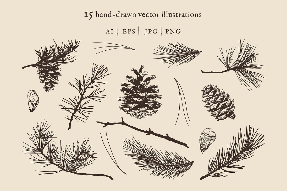 Pine Tree Elements | Illustrations, an Object Illustration by Max Lockwood (Photo 2 of 9)