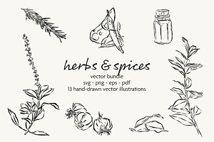 Herbs & Spices Vector Bundle, a Food Illustration by Little Gremlin