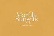 Idealist Serif, a Serif Font by Nicky Laatz (Thumbnail 19 of 34)