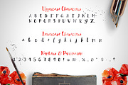 Premium Font Bundle, a Script Font by Flycatcher Design (Thumbnail 111 of 140)