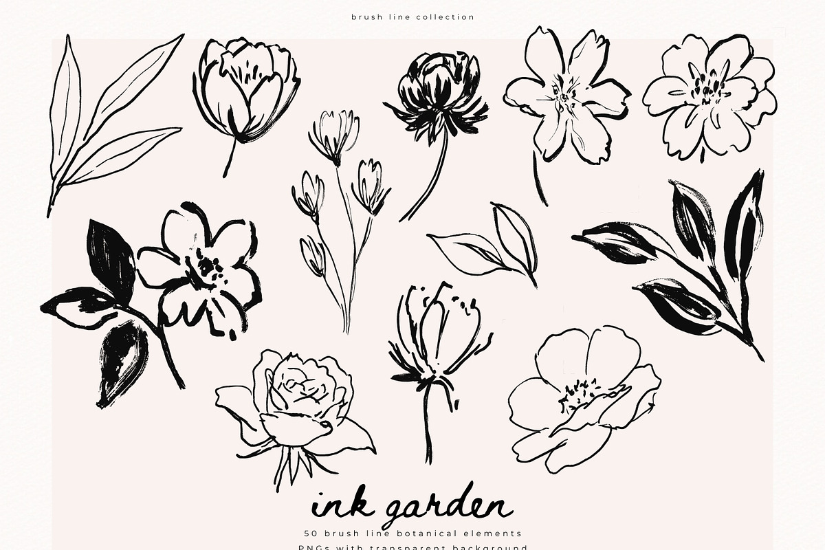 Ink Garden - 50 Brush Line Elements, a Decorative Illustration by PeDe Designs (Photo 2 of 7)