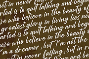 Wystine Esphelta Modern Brush Font, a Script Font by Letterena Studios Script (Thumbnail 16 of 20)